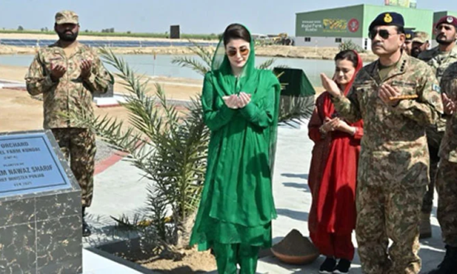 فیلڈ مارشل عاصم منیر کی قیادت میں پاکستان کی کامیابی پر دنیا حیران رہ گئی: مریم نواز
