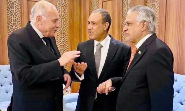 ڈپٹی وزیراعظم و وزیر خارجہ اسحاق ڈار کی مصری اور الجزائری وزرائے خارجہ سے ملاقات