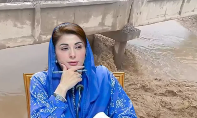 صوبے کے سیلاب متاثرہ ہر خاندان کی بحالی ان کا مشن ہے، مریم نواز