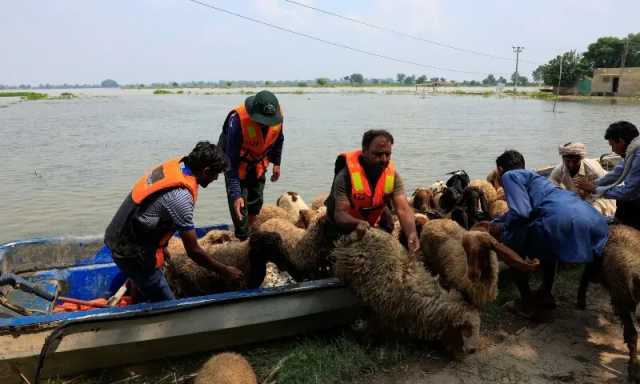 پنجاب بھر میں ایک لاکھ 50 ہزار افراد محفوظ مقامات پر منتقل، این ڈی ایم اے