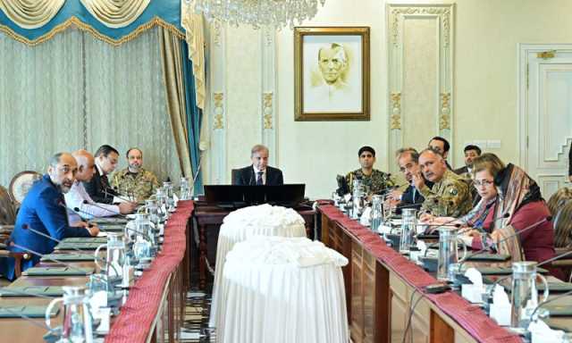 پنجاب میں سیلابی صورتحال: وزیراعظم کی ہنگامی اجلاس کی صدارت، اہم فیصلے