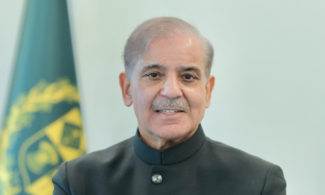 دشمن کو شکست فاش دی، جس سے پاکستان کو دنیا بھر میں عزت ملی: وزیراعظم شہباز شریف