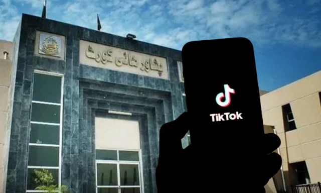 پشاور ہائیکورٹ میں پشتو ٹک ٹاک لائیو پر پابندی کی درخواست کیوں دائر کی گئی؟