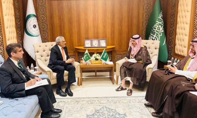 اسحاق ڈار کی سعودی وزیر خارجہ سے ملاقات، غزہ میں مستقل جنگ بندی پر زور
