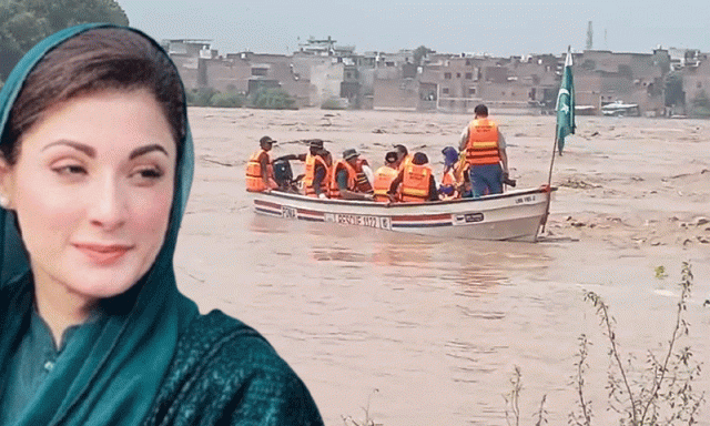 سیلاب متاثرین کو تنہا نہیں چھوڑیں گے، وزیراعلیٰ پنجاب