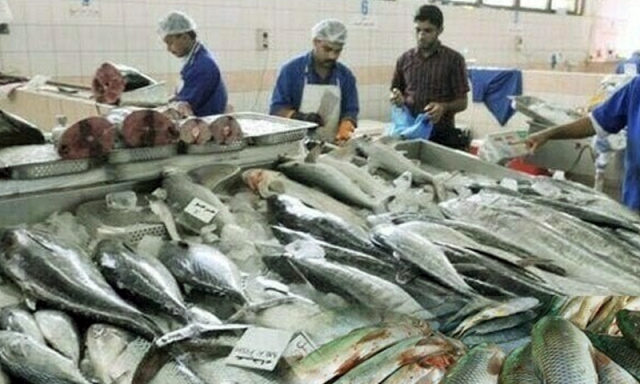 پاکستان کی سی فوڈ برآمدات کو امریکی مارکیٹ میں 4 سال کی توسیع مل گئی
