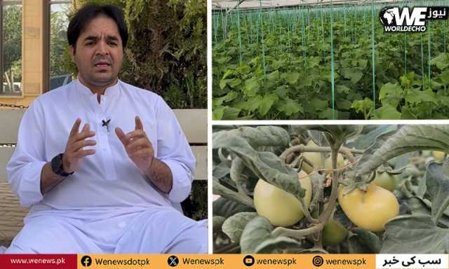 کوئٹہ کے داؤد خان نے اپنی بنجر زمین کیسے آباد کی؟