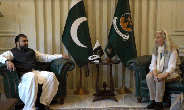 وزیراعلیٰ بلوچستان سے یونیسف کنٹری ریپریزنٹیٹو کی ملاقات، باہمی دلچسپی کے امور پر تبادلہ خیال
