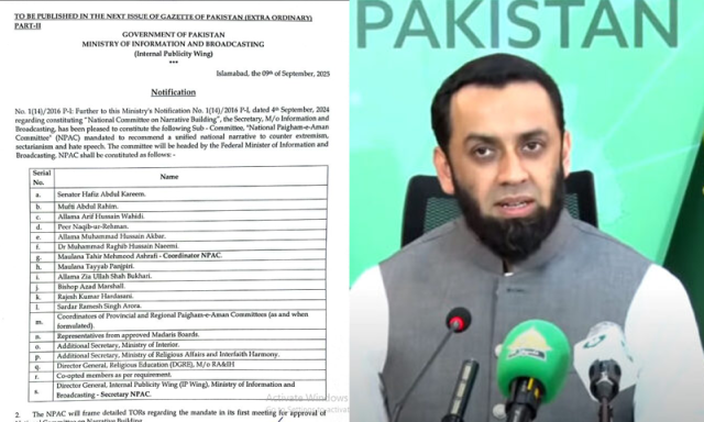 قومی بیانیے کی تشکیل کے لیے قومی پیغام امن کمیٹی (این پی اے سی) قائم، کون کون شامل ہوگا؟