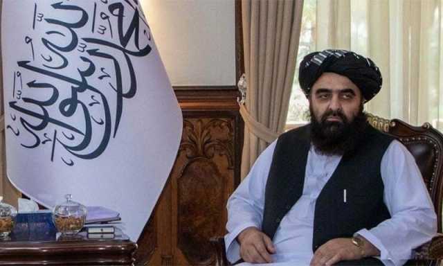 افغان قائم مقام وزیرِ خارجہ روس، چین اور قطر جاسکتے ہیں لیکن پاکستان اور بھارت نہیں، وجہ امریکی ناراضی؟