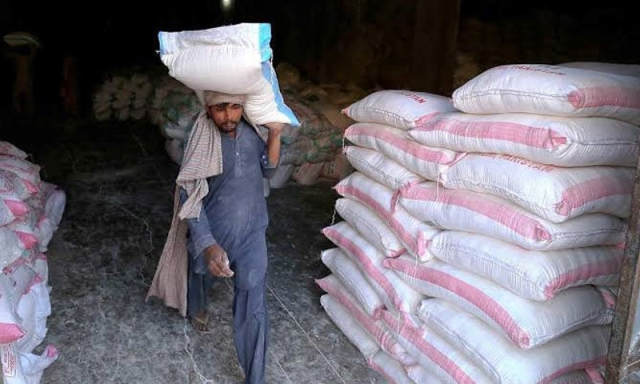 پختونخوا میں ایک فرد سالانہ کتنے کلو آٹا کھاتا ہے؟ صوبائی وزیر کا حیران کن بیان