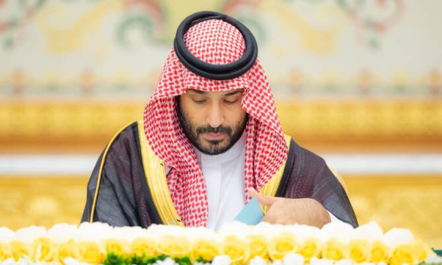 سعودی عرب کا غزہ میں فوری جنگ بندی پر زور