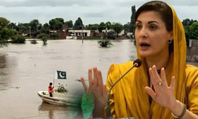 وزیراعلی پنجاب مریم نواز جنوبی پنجاب کے ایم پی ایز سے کیوں ناراض ہیں؟
