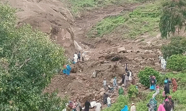سوڈان کے علاقے دارفور میں لینڈ سلائیڈ سے ایک ہزار افراد ہلاک، ایک شخص زندہ بچ پایا
