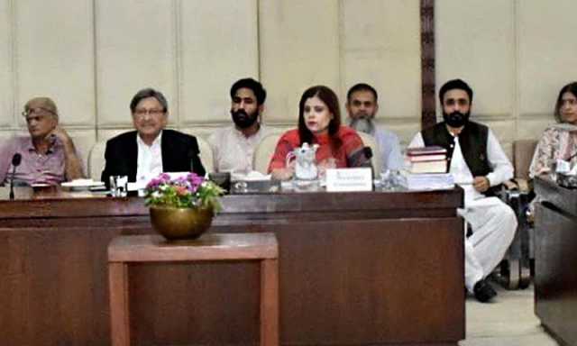 سینیٹ کمیٹی نے دیت کی کم از کم رقم بڑھانے کا بل منظور کرلیا