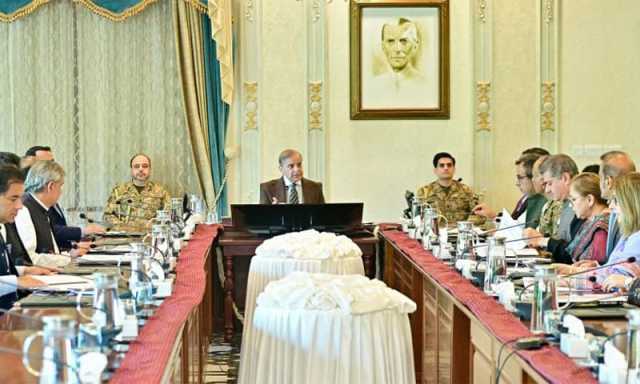 ادارہ جاتی تاخیر برداشت نہیں، نجکاری عمل کی خود نگرانی کروں گا، وزیرِاعظم شہباز شریف