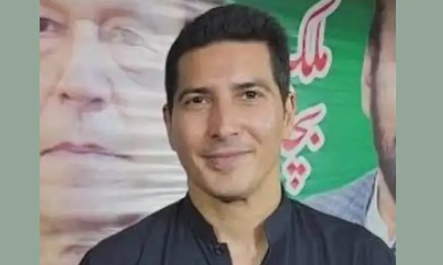 جناح ہاؤس حملہ کیس میں گرفتار عمران خان کے بھانجے شیر شاہ کی ضمانت منظور
