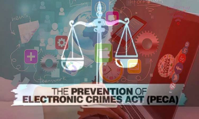 پیکا ایکٹ کے تحت اب تک کہاں، کتنے مقدمات درج ہو چکے ہیں؟