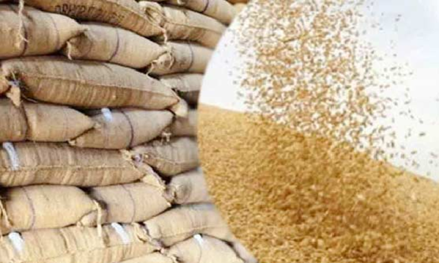 گندم کی ترسیل پر مبینہ پابندی، خیبرپختونخوا حکومت کا پنجاب کے خلاف سپریم کورٹ جانے کا فیصلہ