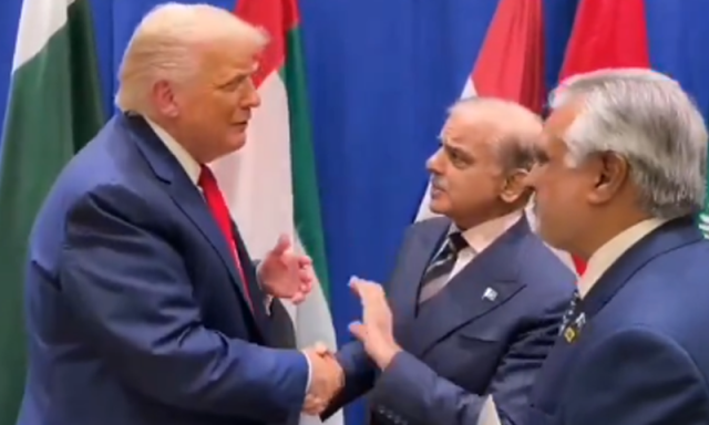 ڈونلڈ ٹرمپ سے ملاقات، ’شہباز شریف میں یہ صلاحیت ہے کہ پہلی ہی ملاقات میں گھل مل جاتے ہیں‘