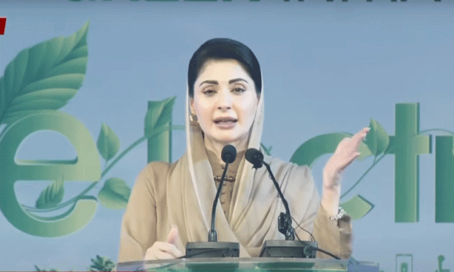 اپنے صوبے کو یورپ جیسی ٹرانسپورٹ مہیا کر رہے ہیں، مریم نواز کا فیصل آباد میں الیکٹرک بسس کا افتتاح