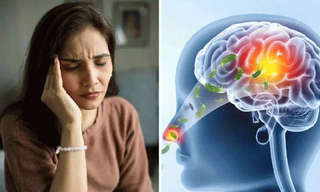 بھارتی ریاست کیرالا میں ’دماغ کھانے والے جراثیم‘ کی وبا شدت اختیار کرگئی، 19 افراد ہلاک