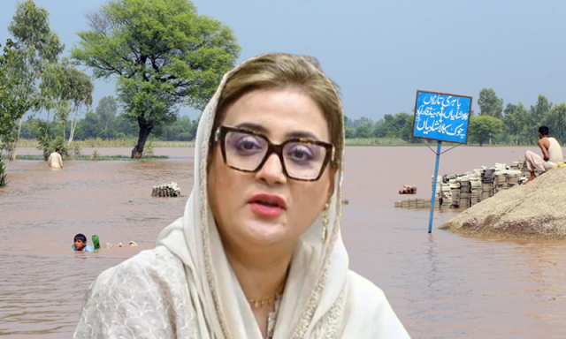 سیلاب کے نام پر سیاسی دکانیں بند کردی جائیں، عظمیٰ بخاری