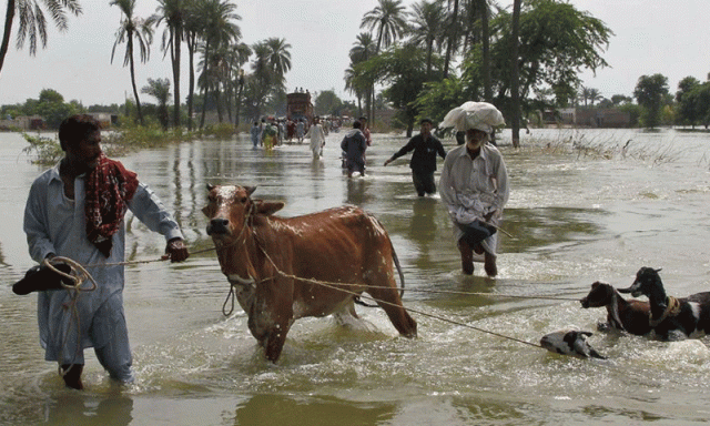 ’پنجاب اس وقت سخت ترین آفت سے لڑ رہا ہے‘
