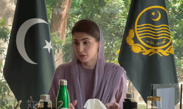 پنجاب میں قبضے ختم کرانے کے لیے خصوصی عدالتیں قائم ہوں گی، فیصلے 90 دن میں ہوں گے: وزیراعلیٰ