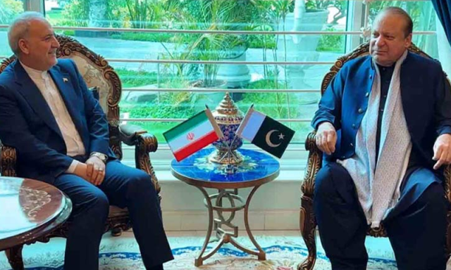 نواز شریف اور مریم نواز سے ایرانی سفیر کی ملاقات، دوطرفہ تعلقات کے فروغ پر تبادلہ خیال