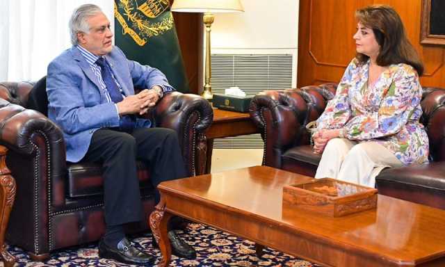 نوشینہ مبارک کی نائب وزیراعظم سے ملاقات، پاک برطانیہ تعلقات پر تبادلہ خیال