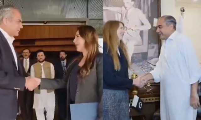 وزیر داخلہ محسن نقوی سے برطانوی ہائی کمشنر اور امریکی قائم مقام سفیر کی الگ الگ ملاقاتیں
