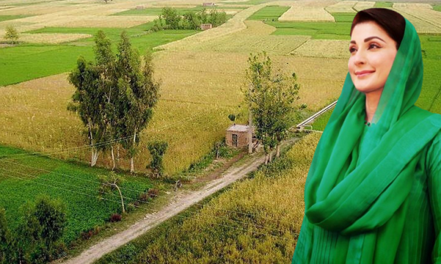 پنجاب میں فصل کی باقیات نہ جلانے کی مہم نے تحریک کی شکل اختیار کر لی