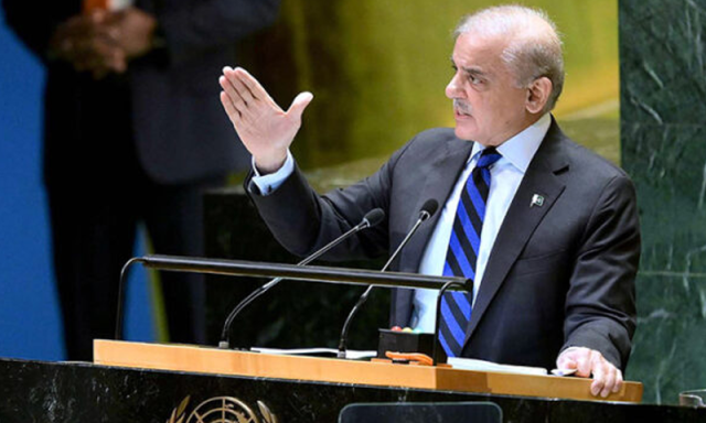 پاکستان قدرتی وسائل سے مالا مال، موسمیاتی تبدیلیوں کے اثرات کی وجہ سے بے بس ہیں، وزیراعظم شہباز شریف