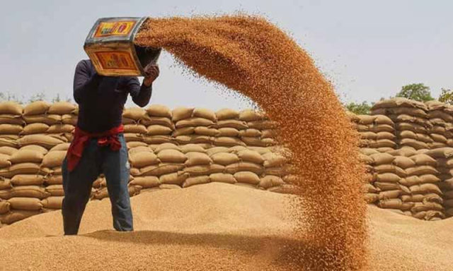 گندم کی فی من قیمت 3500 روپے مقرر، حکومت پاکستان نے گندم پالیسی کی منظوری دے دی