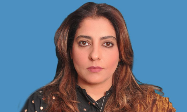 ن لیگ پی پی کشیدگی: سینیٹر پلوشہ خان نے شہباز شریف اور مریم نواز کو نشانے پر رکھ لیا
