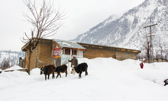 سائبیریائی ہوائیں کب پاکستان پہنچیں گی، موسم سرما کو کتنا طویل بنائیں گی؟