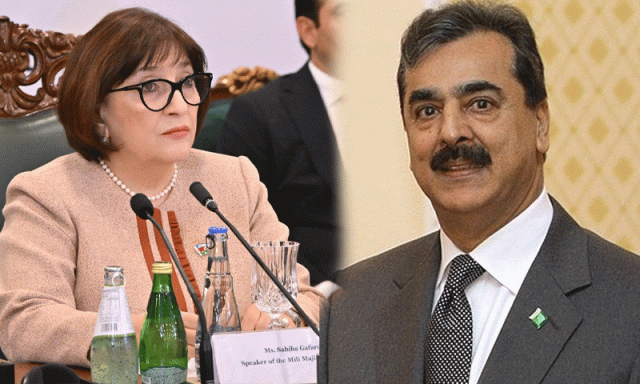 ۔۔۔۔۔۔۔۔۔۔۔۔۔ چیئرمین سینیٹ سید یوسف رضا گیلانی کی آذربائیجان کی اسپیکر ملی مجلس سے ملاقات