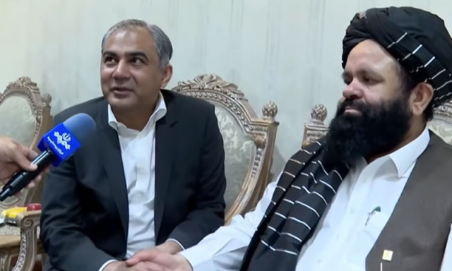 پاکستان اور افغانستان برادر ممالک، اختلافات کو مذاکرات کے ذریعے حل کیا جائے گا، محسن نقوی