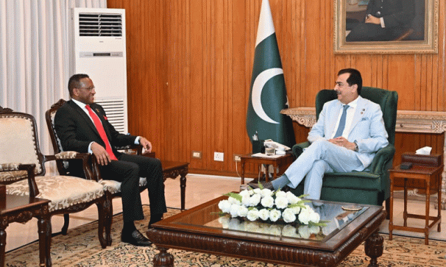 قائم مقام صدر یوسف رضا گیلانی سے ایتھوپیا کے سفیر ڈاکٹر جمال بکر عبداللّٰہ کی الوداعی ملاقات