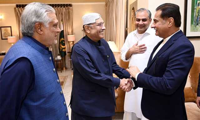 وفاقی وزرا کی صدر زرداری سے اہم ملاقات، پیپلز پارٹی اور ن لیگ بیان بازی روکنے پر متفق