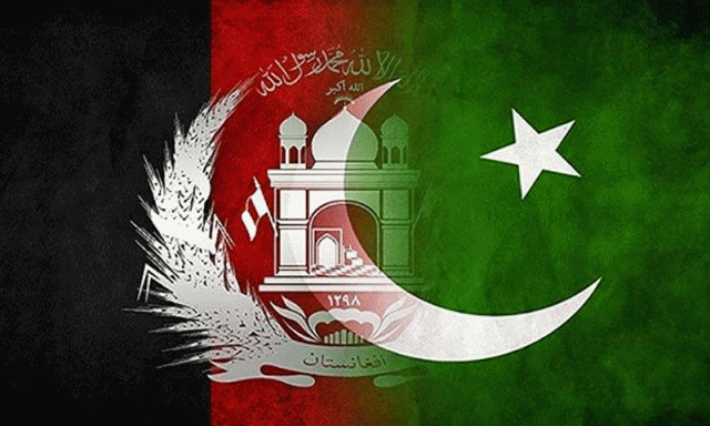 افغانستان کو بھرپور جواب دیا جائے گا، وزیر داخلہ کا سخت ردعمل