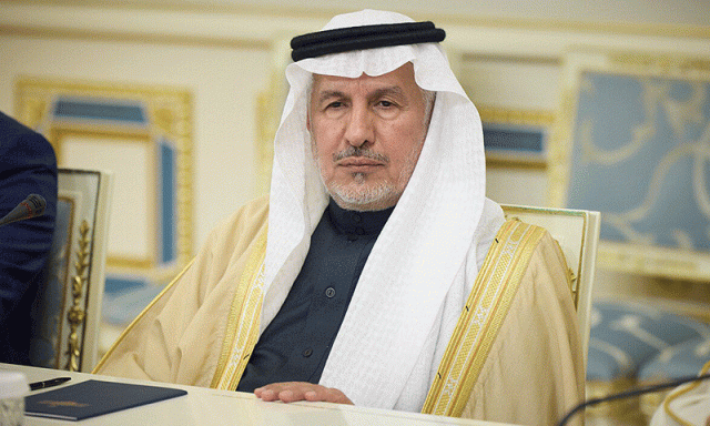 عالمی یومِ جڑواں ملتصق بچے: سعودی عرب کی تجویز اقوام متحدہ نے منظور کرلی