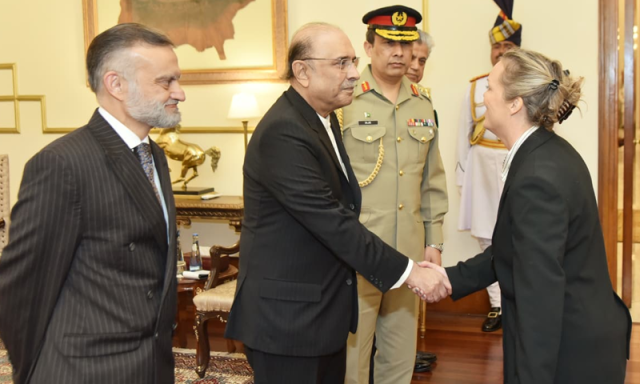 صدر مملکت کو 4 ممالک کے سفیروں کی جانب سے اسناد سفارت پیش