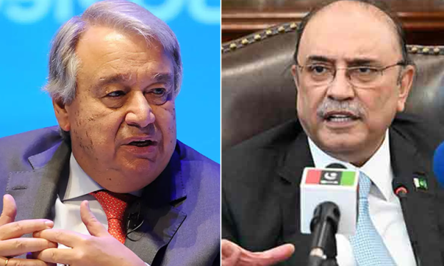 صدر زرداری کی سیکریٹری جنرل اقوام متحدہ سے ملاقات، خود مختار فلسطینی ریاست کے قیام پر زور