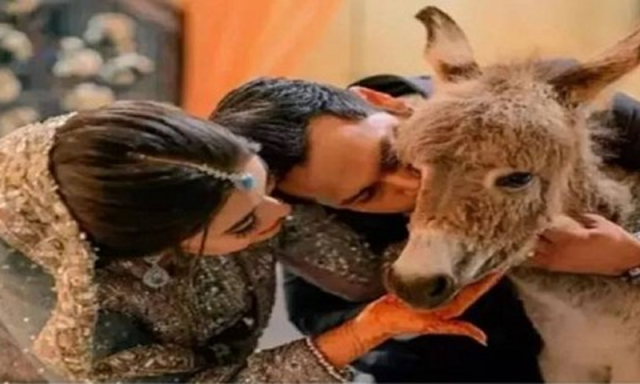 شادی میں گدھے کا تحفہ دینے والے یوٹیوبر اذلان شاہ اپنے لیے دوسری دلہن لے آئے