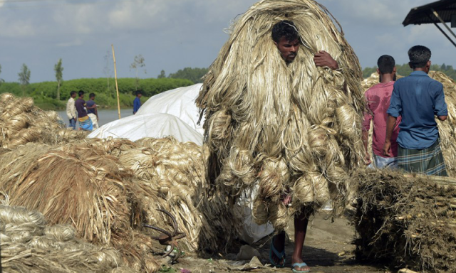 چین کا بنگلہ دیش میں پٹ سن پر منحصر صنعتوں میں بڑی سرمایہ کاری کا عندیہ