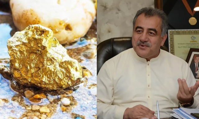 تربیلا ڈیم کی مٹی میں 636 ارب ڈالر مالیت کے سونے کے ذخائر دریافت، حنیف گوہر کا دعویٰ