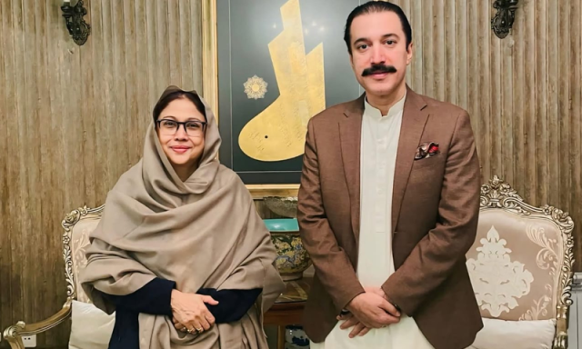 فریال تالپور سے نامزد وزیراعظم آزاد کشمیر فیصل ممتاز راٹھور کی ملاقات