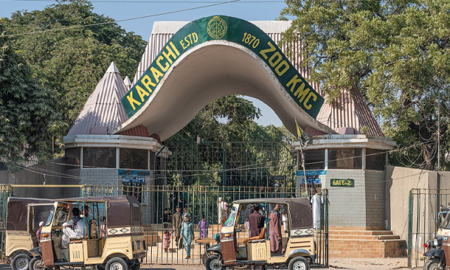 کیا کراچی کا چڑیا گھر ختم کیا جارہا ہے؟